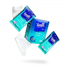 京东商城 得宝(Tempo) 湿巾 盒装(5包x12片) 卫生洁肤 19.9元