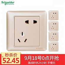 京东商城 Schneider Electric 施耐德电气 斜五孔电源插座 5只装 *2件 94.41元包邮（2件9折）