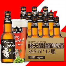 京东商城 BRAKING SQUIRREL 哮天鼠 精酿拉格啤酒 355ml*12瓶 *2件 99元包邮（99买2件）