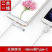 京东商城 ZMI AL511 micro转Type-C 二合一充电线/手机数据线/适用于 乐视/小米5/魅族 苹果 Macbook 白色0.3米 9.9元