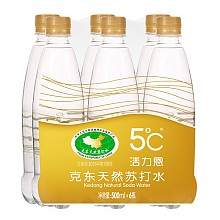 京东商城 5°C（HORIEN5°C）活力恩 克东天然苏打水 500mL*6瓶 *2件 38元（合19元/件）