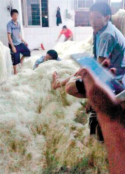 近日，东莞一米粉厂被曝车间工人赤脚踩着米粉，甚至在米粉堆上睡觉。目前该厂停业整顿。
